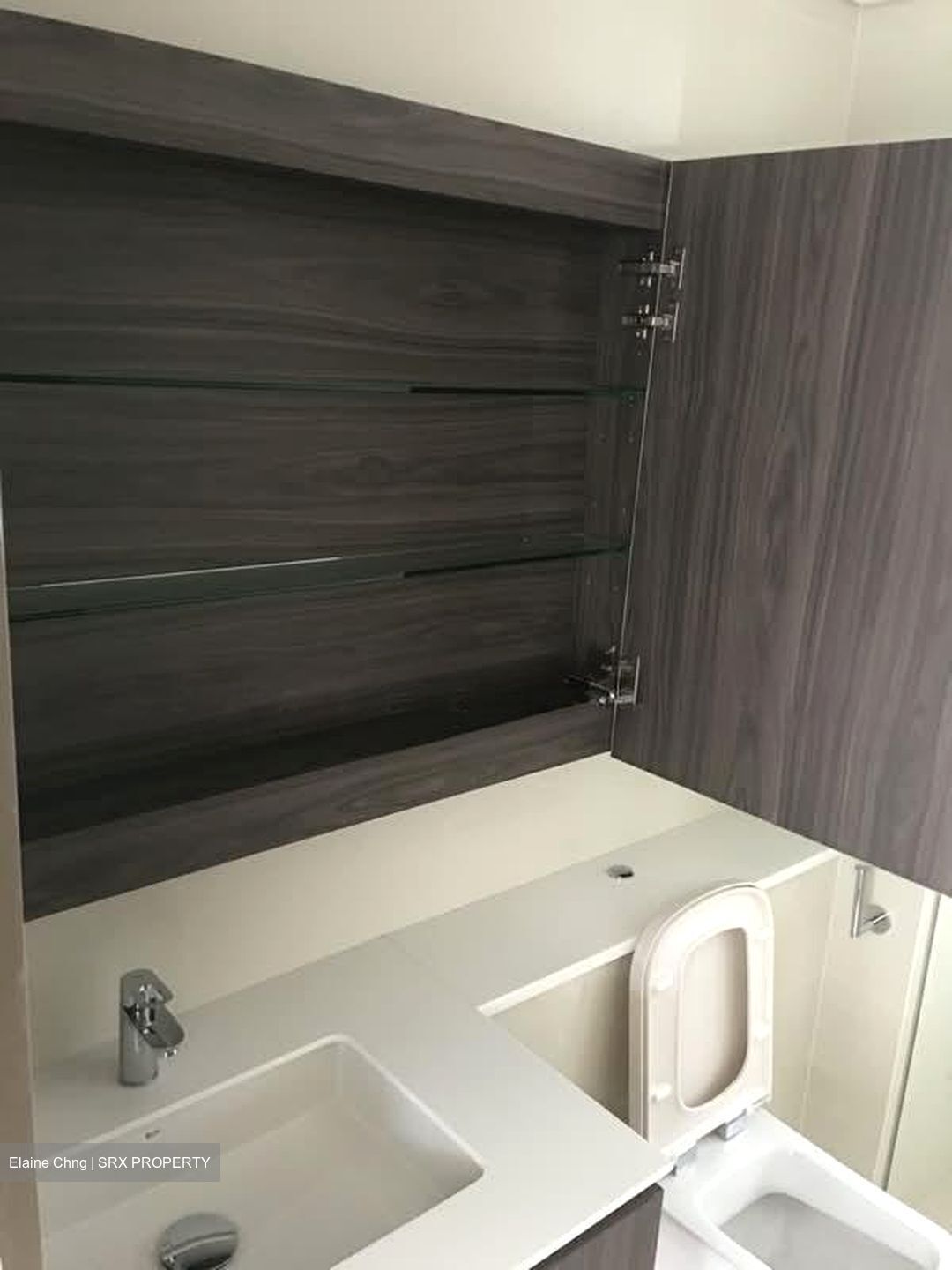Lakeville (D22), Condominium #569791881